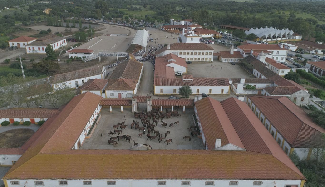 Gestüt Coudelaria de Alter- Alentejo